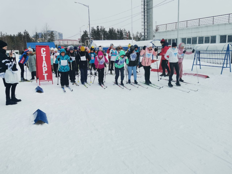 Соревнования по лыжным гонкам.